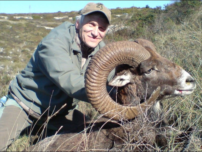 Mufflonjakt i Kroatien I Jakt på Mufflon i Kroatien