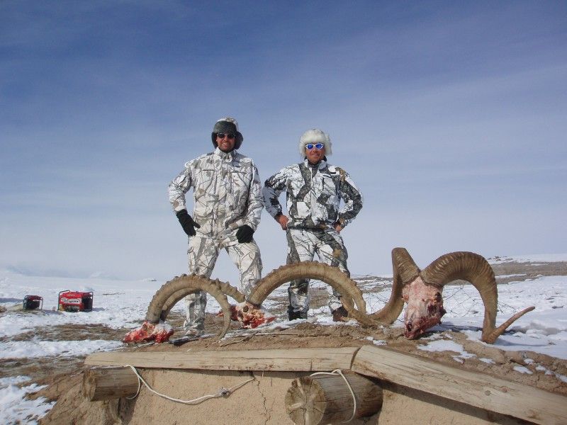 Balerinaning mushukining porno suratlari Voyaga etgan juftlarning uy qurilishi oilaviy jinsiy aloqasi